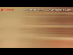 Mô hình truyền thống của Trung Quốc